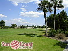 Cypress Lake Country Club Condos Golf Course
